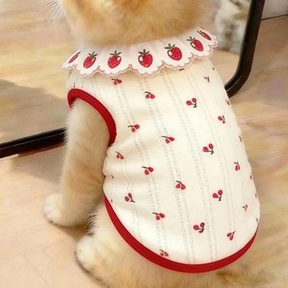 A fluffy cat is wearing a white vest with a red ruffled strawberry print and red trim.