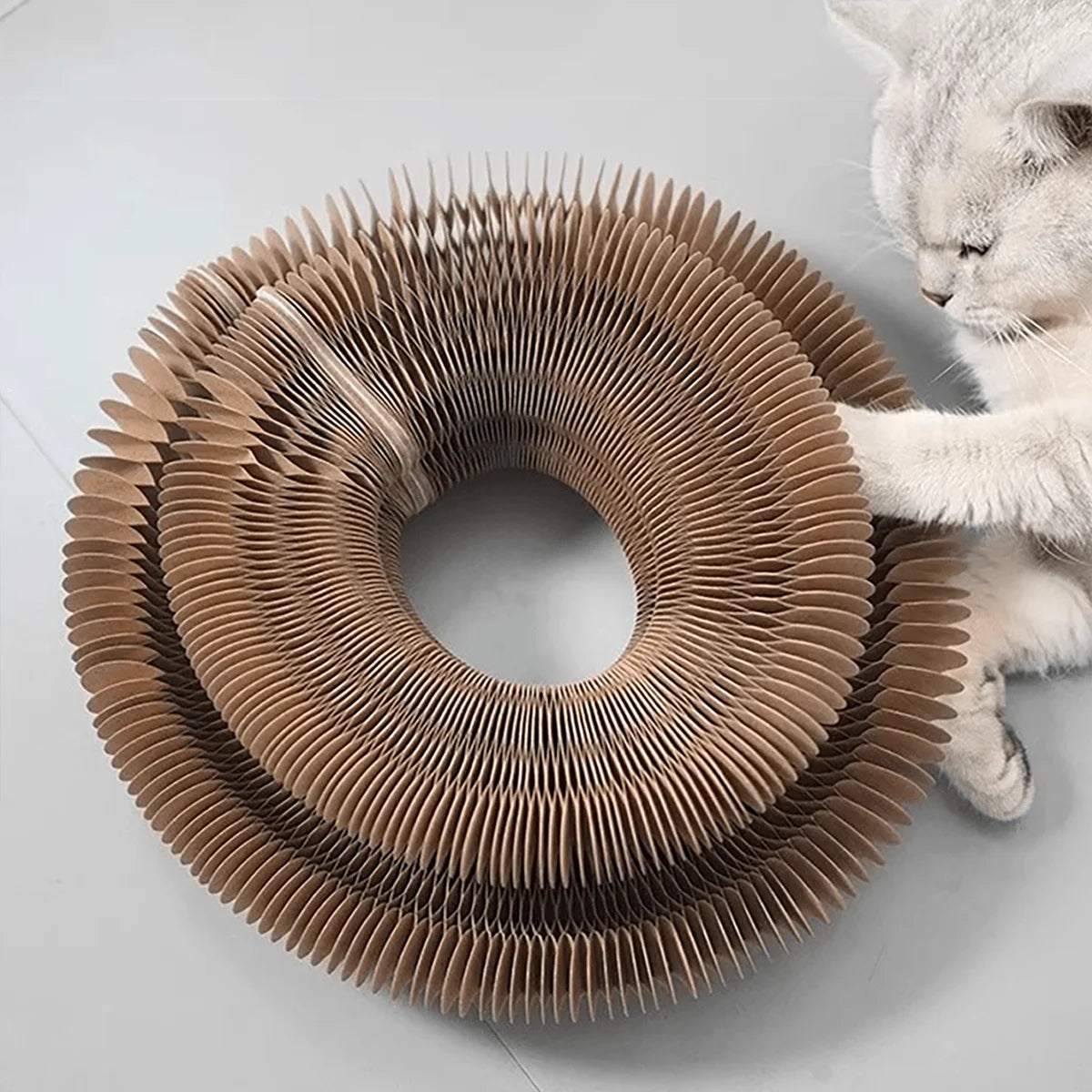 A light beige foldable accordion cat scratcher with teeth and a bell is shown next to a sleeping cat.