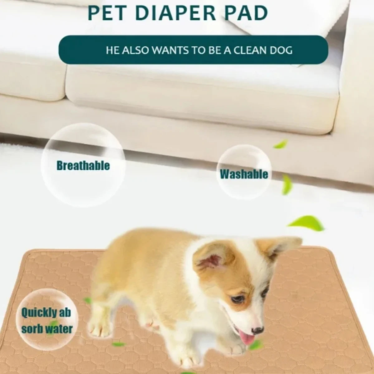 A small dog is using a breathable and washable pet diaper pad on a training mat.