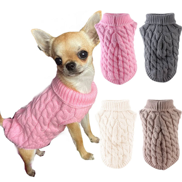 A small dog wearing a pink knitted sweater, surrounded by various shades of pink and gray knitted dog sweaters.