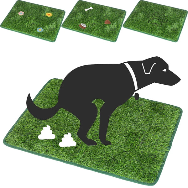 A black dog is standing on a green artificial grass training mat with white clouds drawn on it.