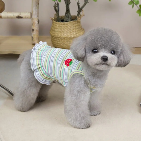 A fluffy gray puppy wearing a striped dress with a red apple design.
