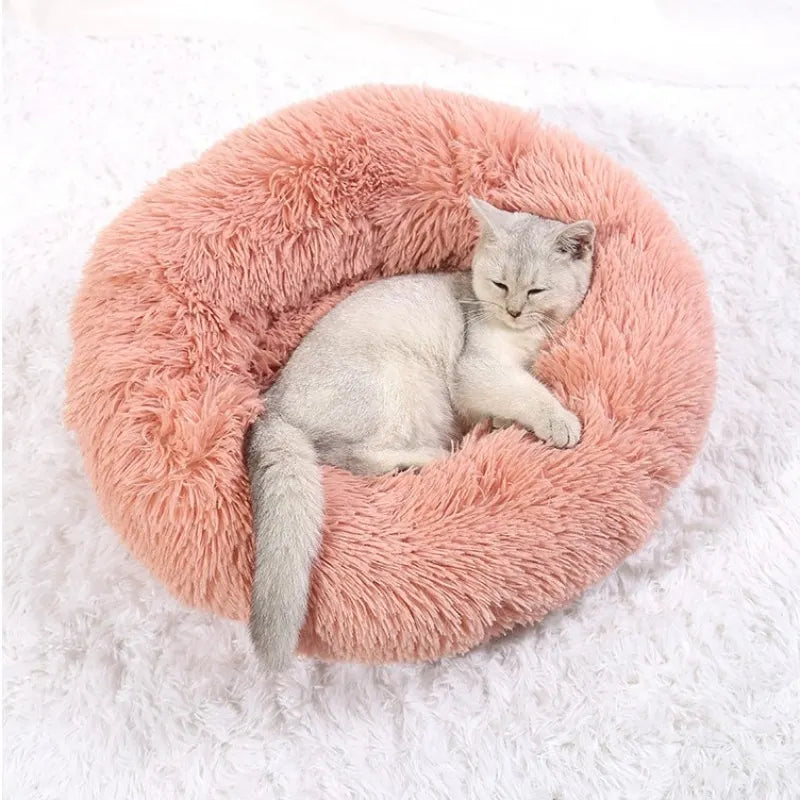 A light gray kitten is resting inside a round, fluffy pink plush pet bed on a white surface.