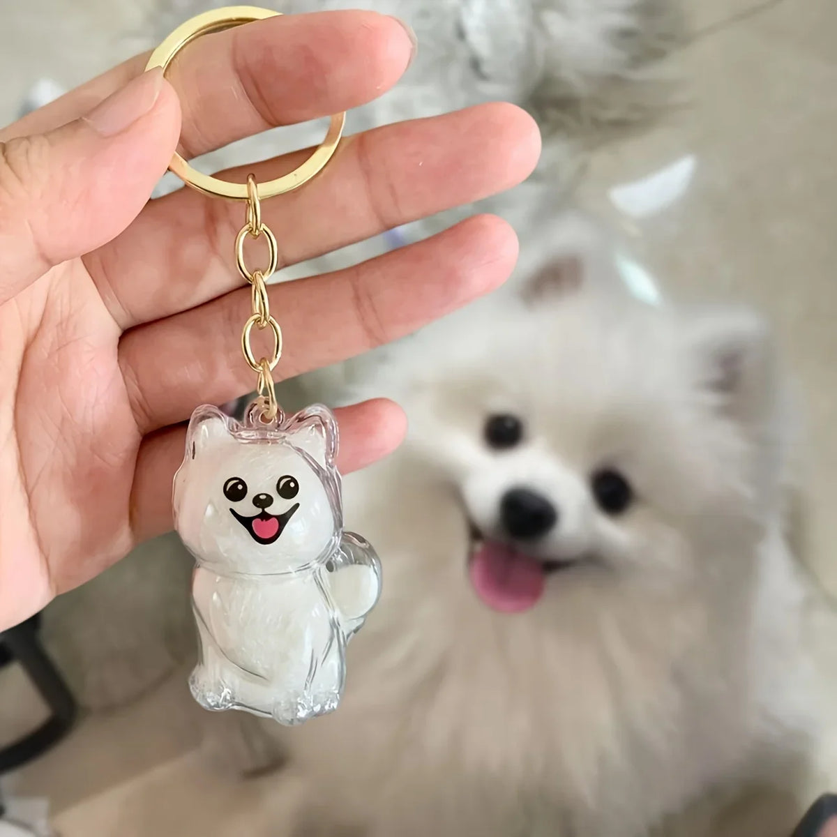 Une main tient un porte-clés transparent pour poils d'animaux avec un mignon chat blanc.
