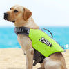 A light brown dog wearing a bright neon yellow high visibility dog life jacket on a sandy beach.