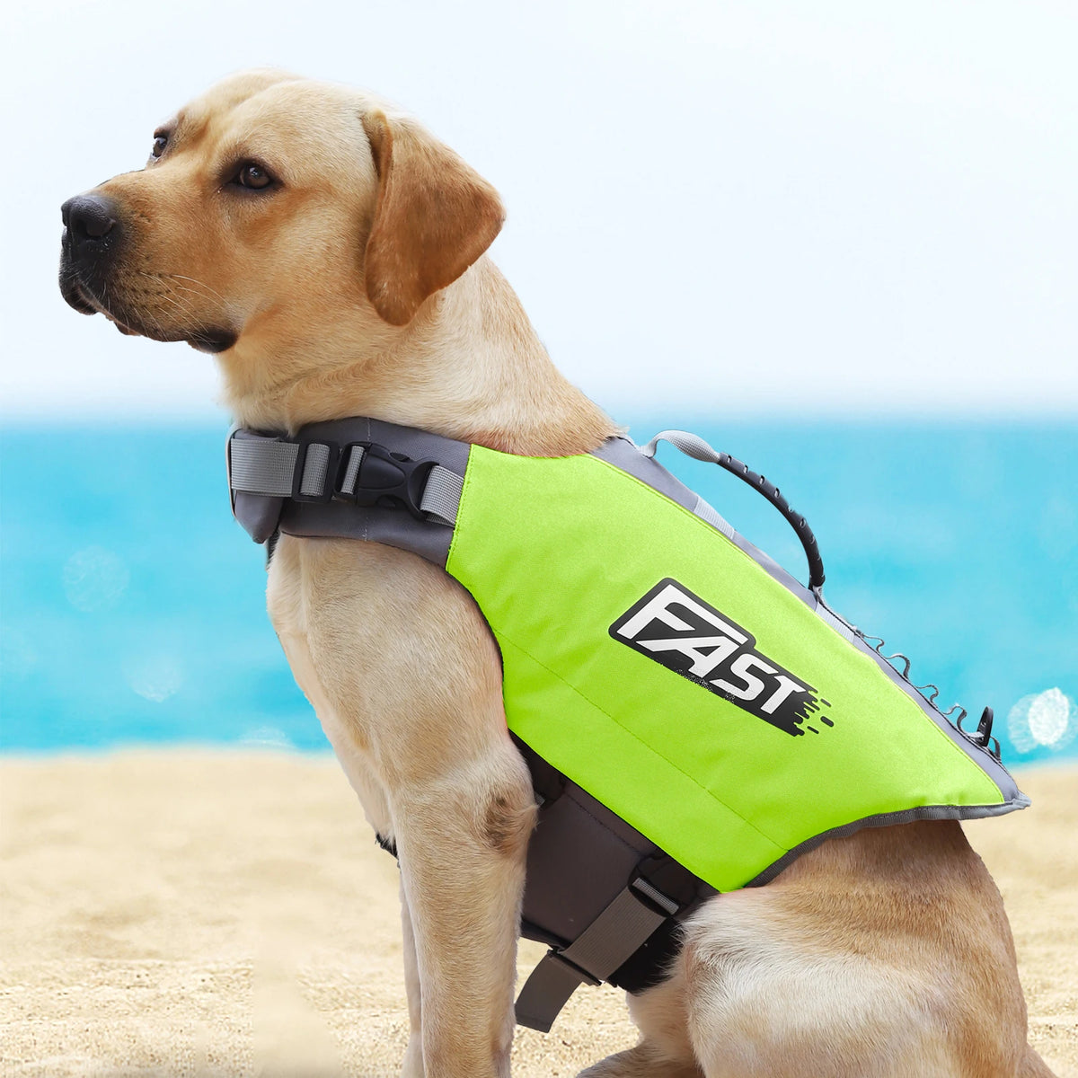 A light brown dog wearing a bright neon yellow high visibility dog life jacket on a sandy beach.