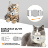 A cat wearing a breakaway safety buckle collar for pet safety.