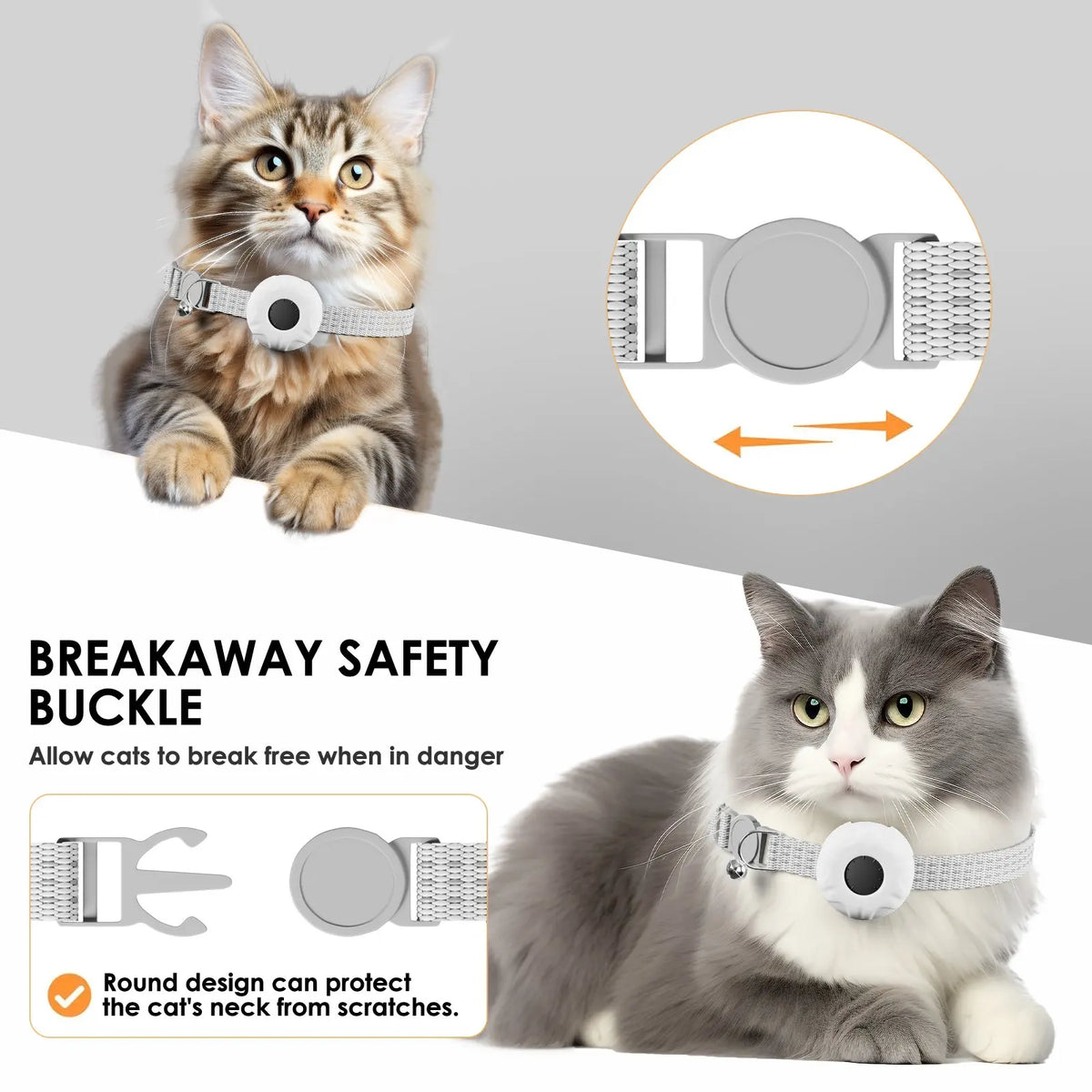 A cat wearing a breakaway safety buckle collar for pet safety.