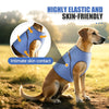 Hund trägt eine blaue elastische Weste für den intimen Hautkontakt, gezeigt im Freien.