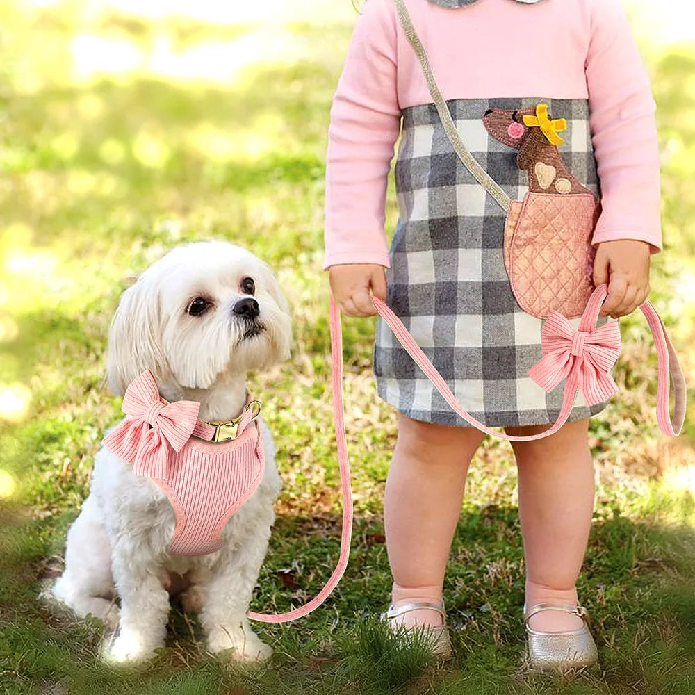 Ein junges Mädchen in pinkem Kleid und karierter Röcke hält ein rosa Hundehalsband und Leine, während ein weißer Hund in der 