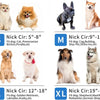 Un juego de collares de rescate inflables para perros y gatos, mostrados en varios tamaños y puestos en diferentes animales.