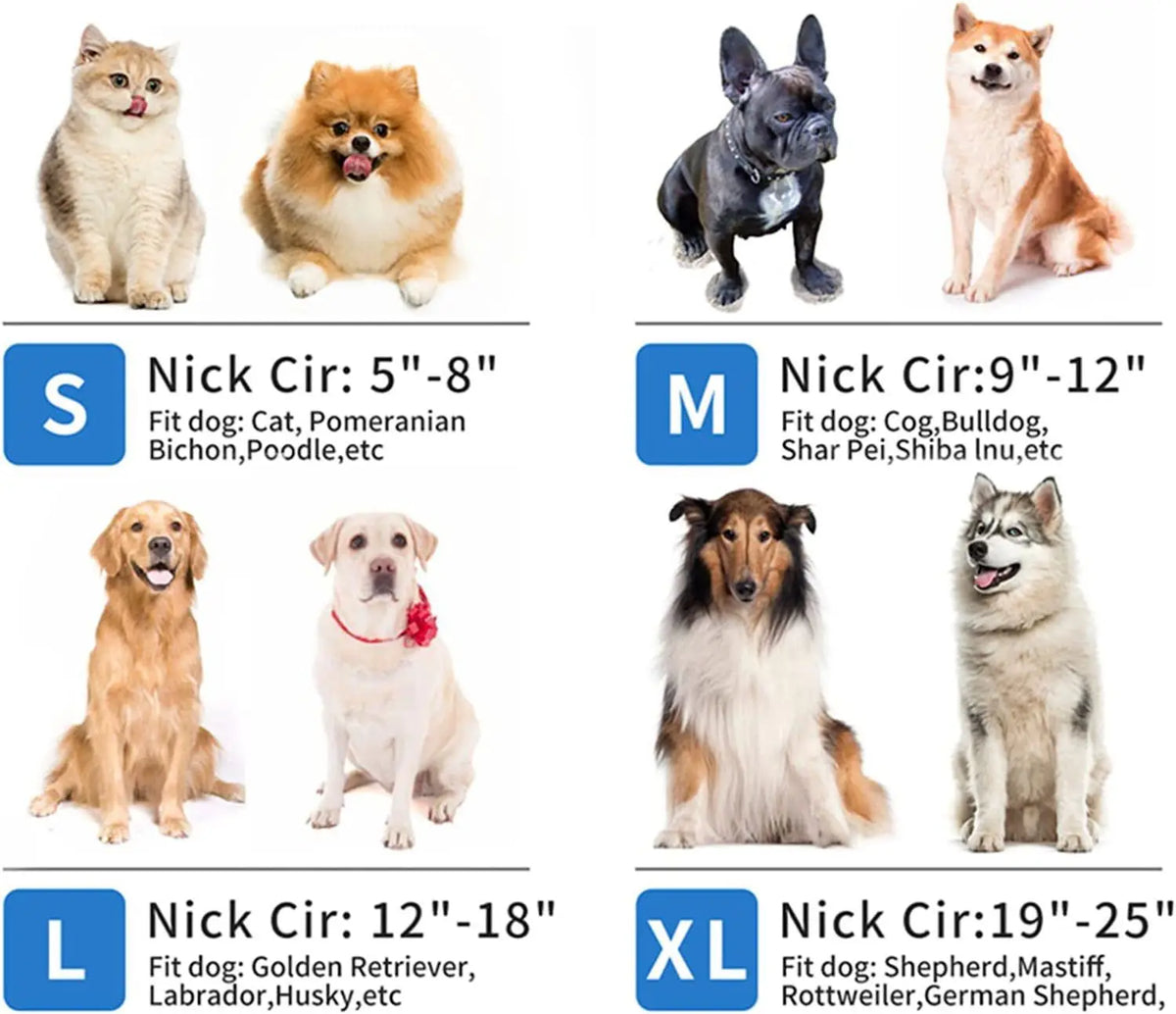 Un juego de collares de rescate inflables para perros y gatos, mostrados en varios tamaños y puestos en diferentes animales.