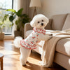 A small white dog wearing a red and white cherry ruffle pet dress relaxing on a light-colored sofa.