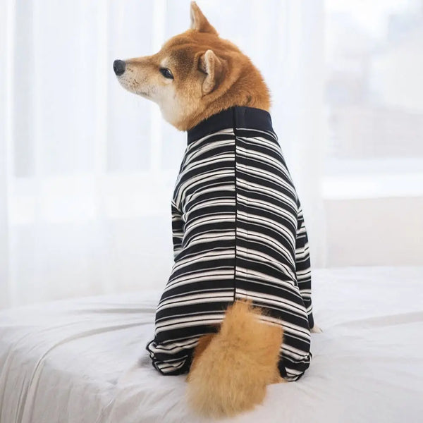 A Shiba Inu dog wearing a black and white striped jumpsuit lies on a white bed.