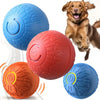 Eine Sammlung farbenfroher interaktiver Spielbälle für Haustiere, darunter blau, orange und rot, mit einem Hund im Hintergrun