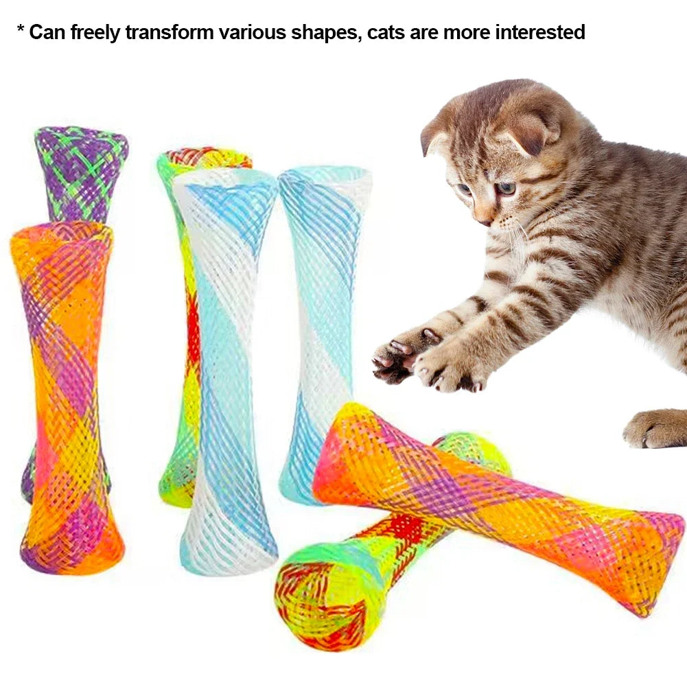 A tabby kitten plays with colorful bouncy spring toys designed for cats.