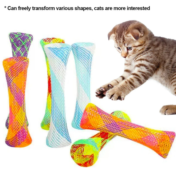 A tabby kitten plays with colorful bouncy spring toys designed for cats.