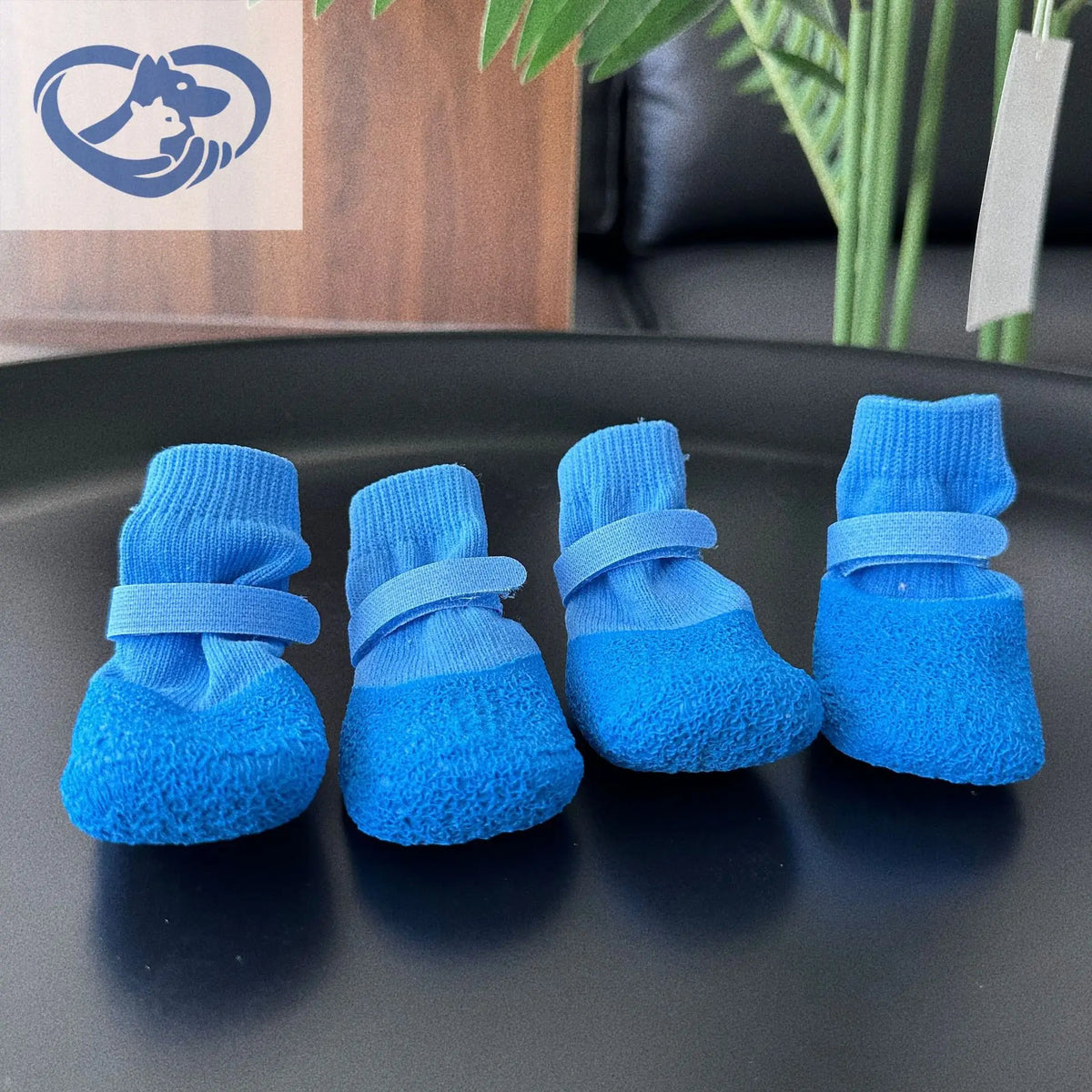 A set of bright blue waterproof anti-slip dog socks displayed on a dark plate.