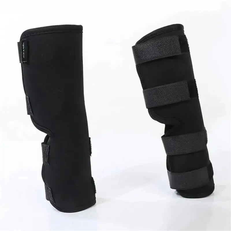 Férulas negras para la rodilla de mascota para la recuperación de articulaciones caninas, vista vertical