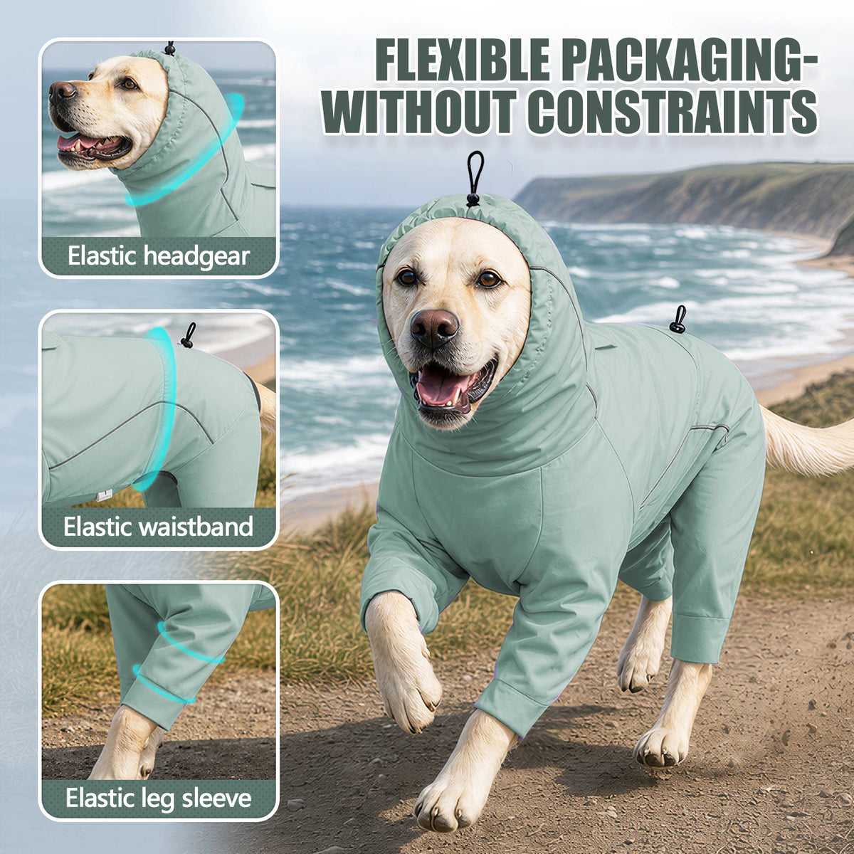 A light green flexible pet raincoat with elastic features shown on a dog walking outdoors.