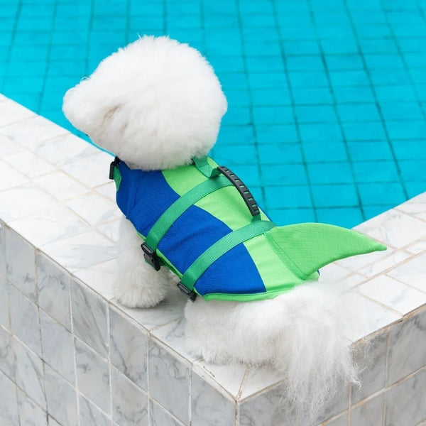 Un perro blanco con chaleco salvavidas azul y verde lima sentado en el borde de baldosas junto a agua azul brillante.
