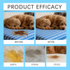 Before and after comparison showing pet stains on a blue fabric, earth, stains, and stool.