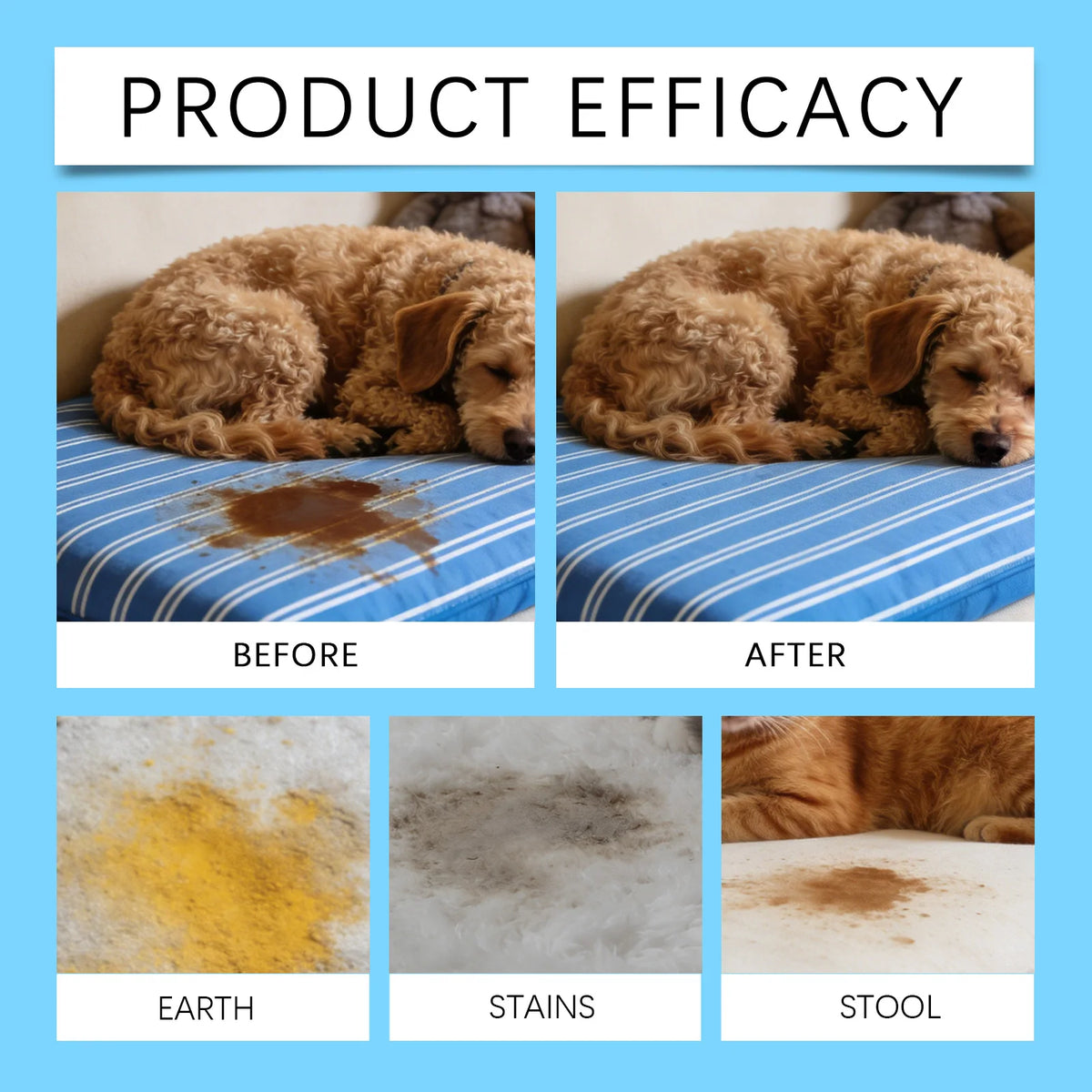 Before and after comparison showing pet stains on a blue fabric, earth, stains, and stool.