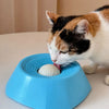 A tabby cat is interacting with a blue slow feeder dog bowl, licking the food from the center.