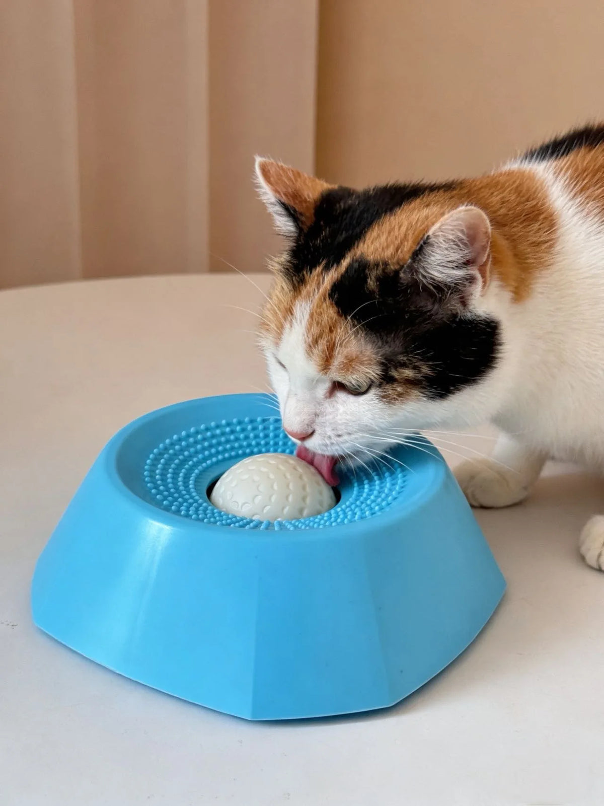 A tabby cat is interacting with a blue slow feeder dog bowl, licking the food from the center.