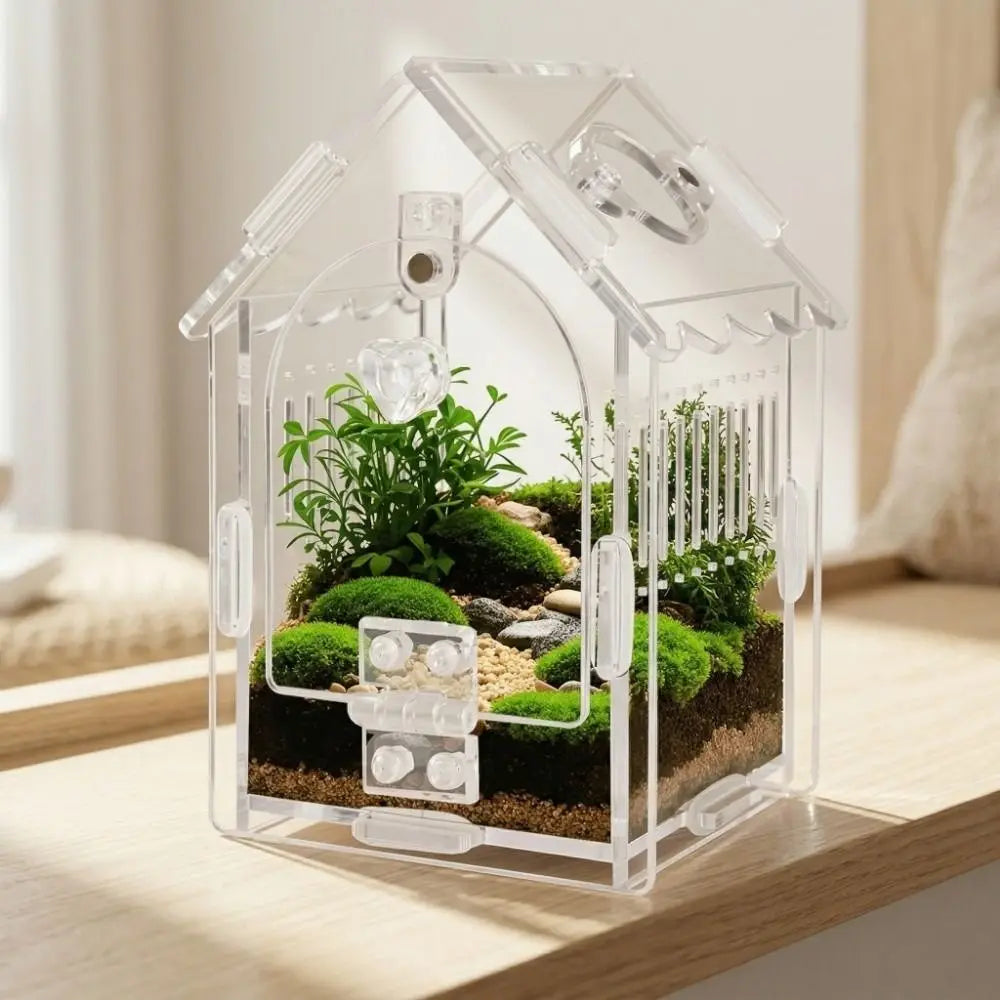 A clear plastic terrarium housing a small plant and moss, designed for a portable jumping spider.