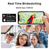 Une main tient un smartphone affichant des images de tournage d'oiseaux en direct d'une caméra HD alimentée par énergie solai