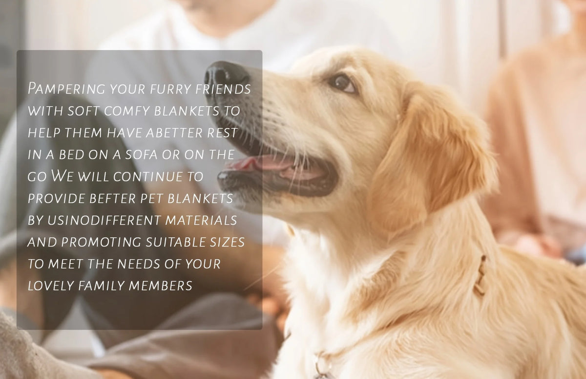 A golden retriever is resting on a soft blanket, illustrating pet comfort products.
