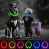 Un chien noir, un jeune garçon et un chat portent des colliers LED lumineux de différentes couleurs.