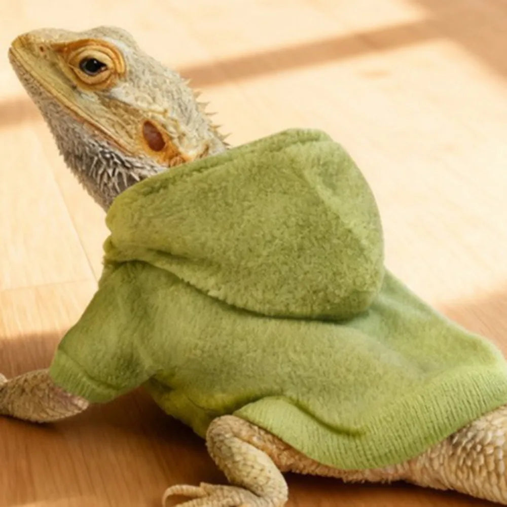 A bearded dragon wearing a soft, olive green hooded garment.
