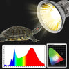 Reptil-UVB-Heizlampe beleuchtet eine Schildkröte und demonstriert ihre Lichtleistung.