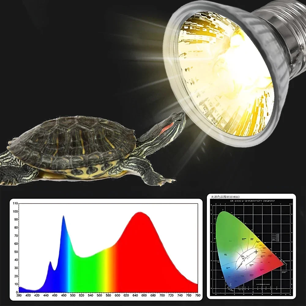 Reptil-UVB-Heizlampe beleuchtet eine Schildkröte und demonstriert ihre Lichtleistung.