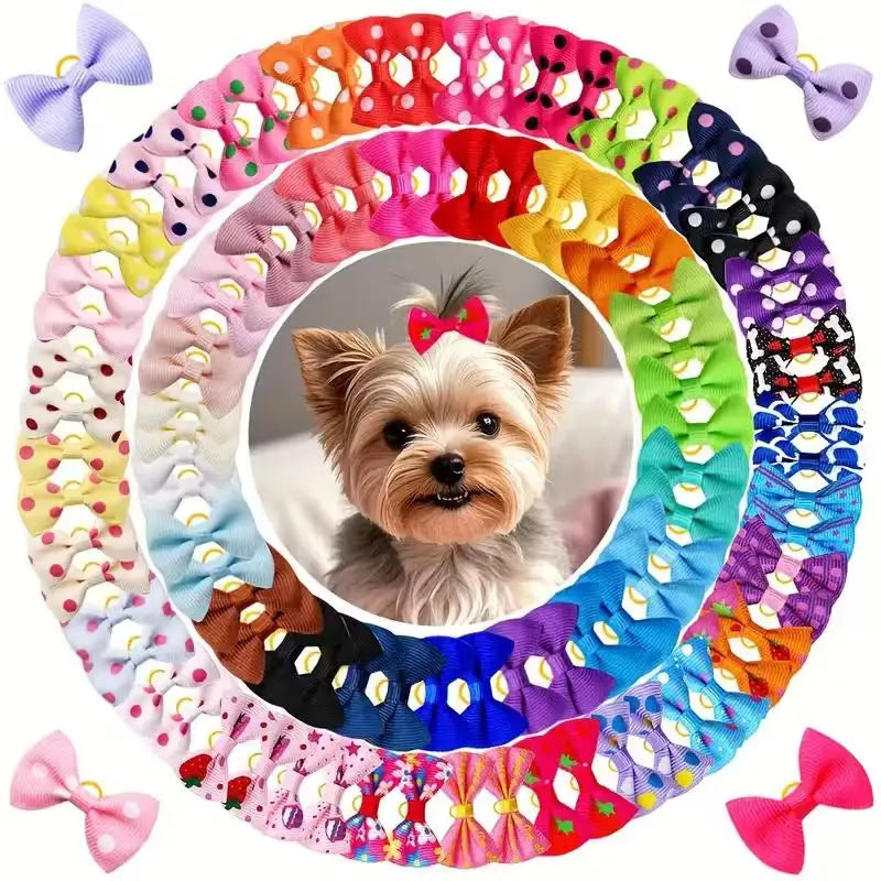 A colorful, circular arrangement of 50 handmade dog bows with rubber bands.
