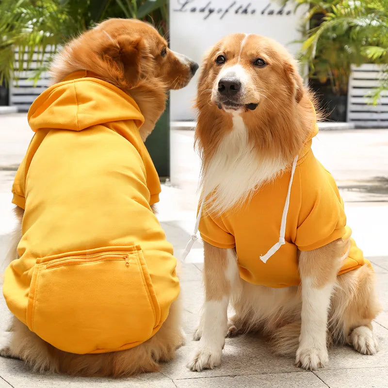 A golden retriever and a spaniel are sitting outdoors wearing matching yellow hooded jackets.