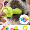 A variety of colorful squeaky chew toys for dogs including rubber rings and small balls