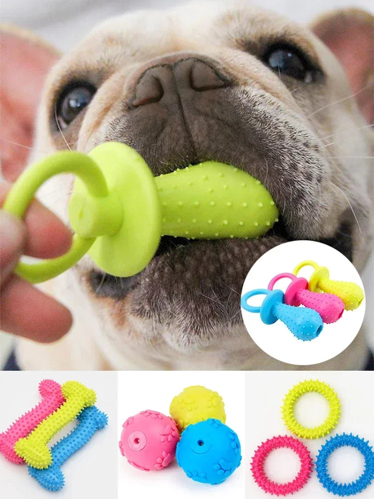 A variety of colorful squeaky chew toys for dogs including rubber rings and small balls