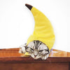 A cat is wearing a yellow banana-shaped cap costume.