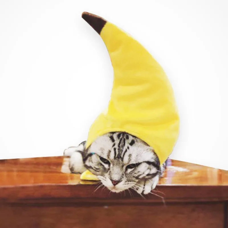A cat is wearing a yellow banana-shaped cap costume.