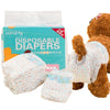 Box of disposable diapers for dogs next to a brown stuffed animal.