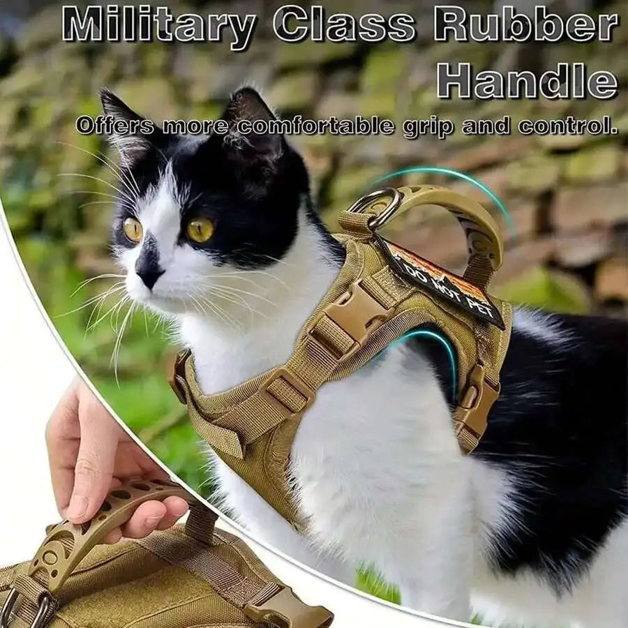A black and white cat wearing a tan military class rubber handle harness for grip and control.