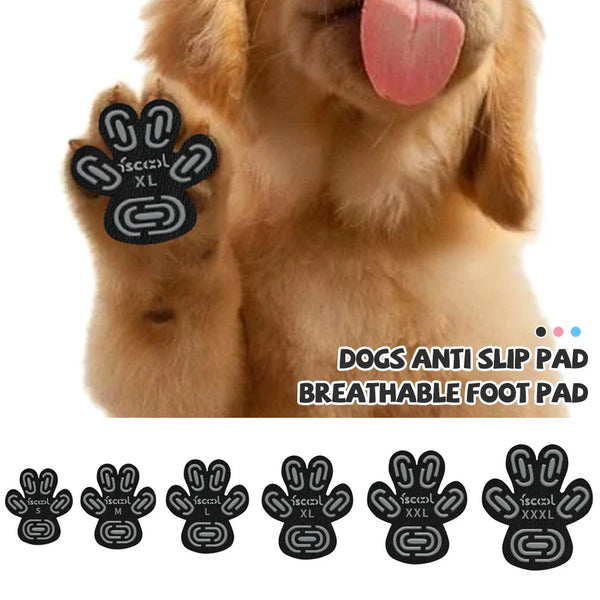 A close-up of a dog's paw with anti-slip grips, showing various sizes from small to extra large.
