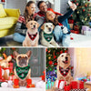A dog wearing a Christmas triangle pet scarf bandana sits in front of a decorated Christmas tree.