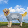 A golden retriever wearing a gray summer cooling dog suit outdoors under a blue sky.