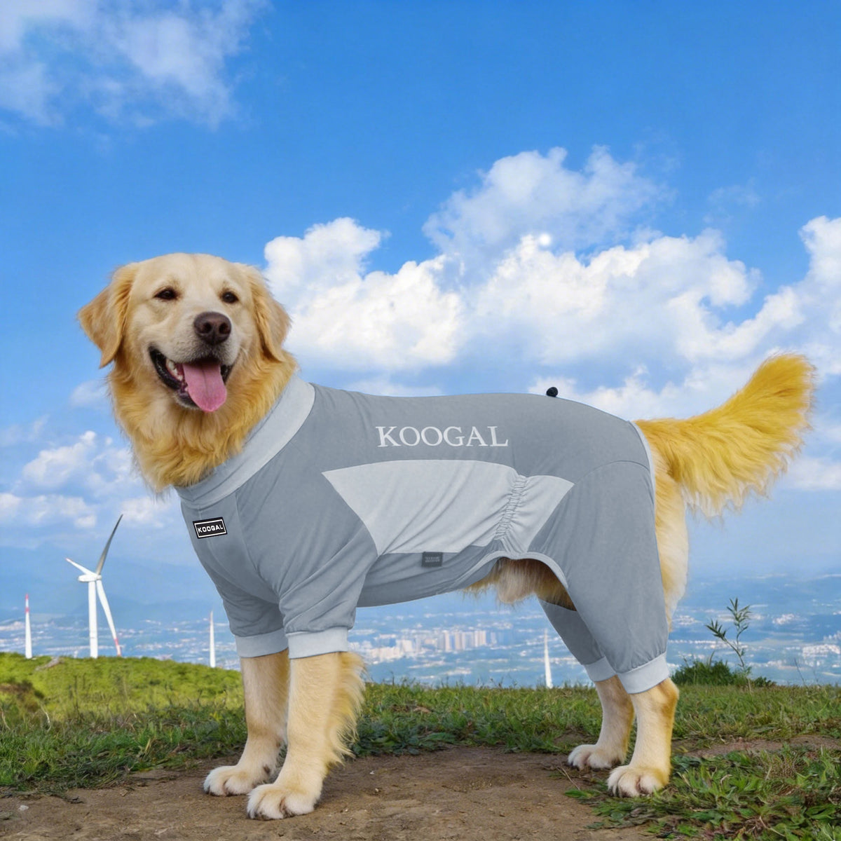 A golden retriever wearing a gray summer cooling dog suit outdoors under a blue sky.