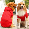 A golden retriever and a doodle dog sitting outdoors, both wearing red hooded jackets.