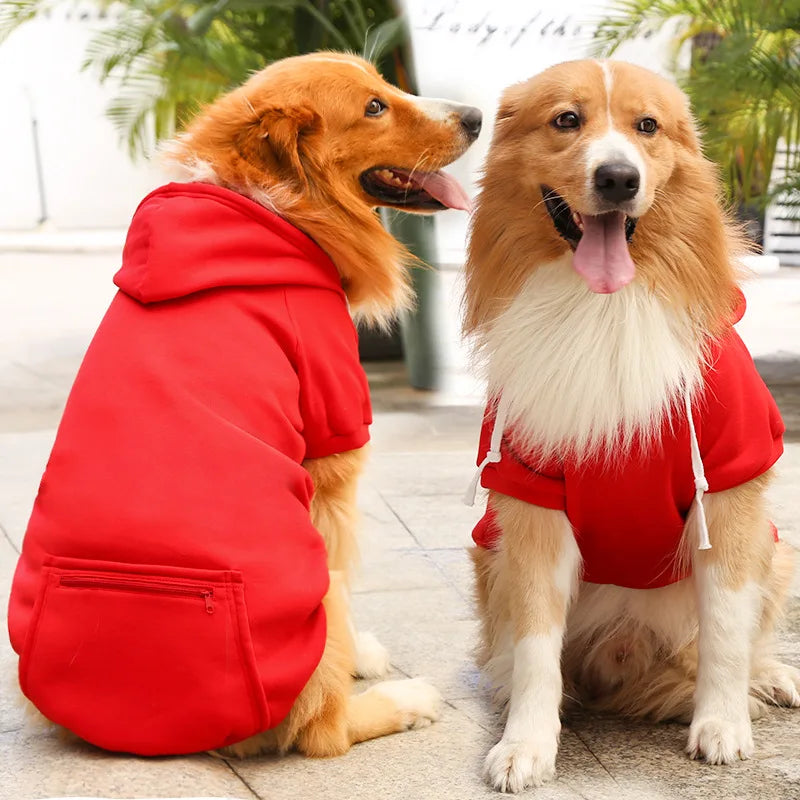 A golden retriever and a doodle dog sitting outdoors, both wearing red hooded jackets.